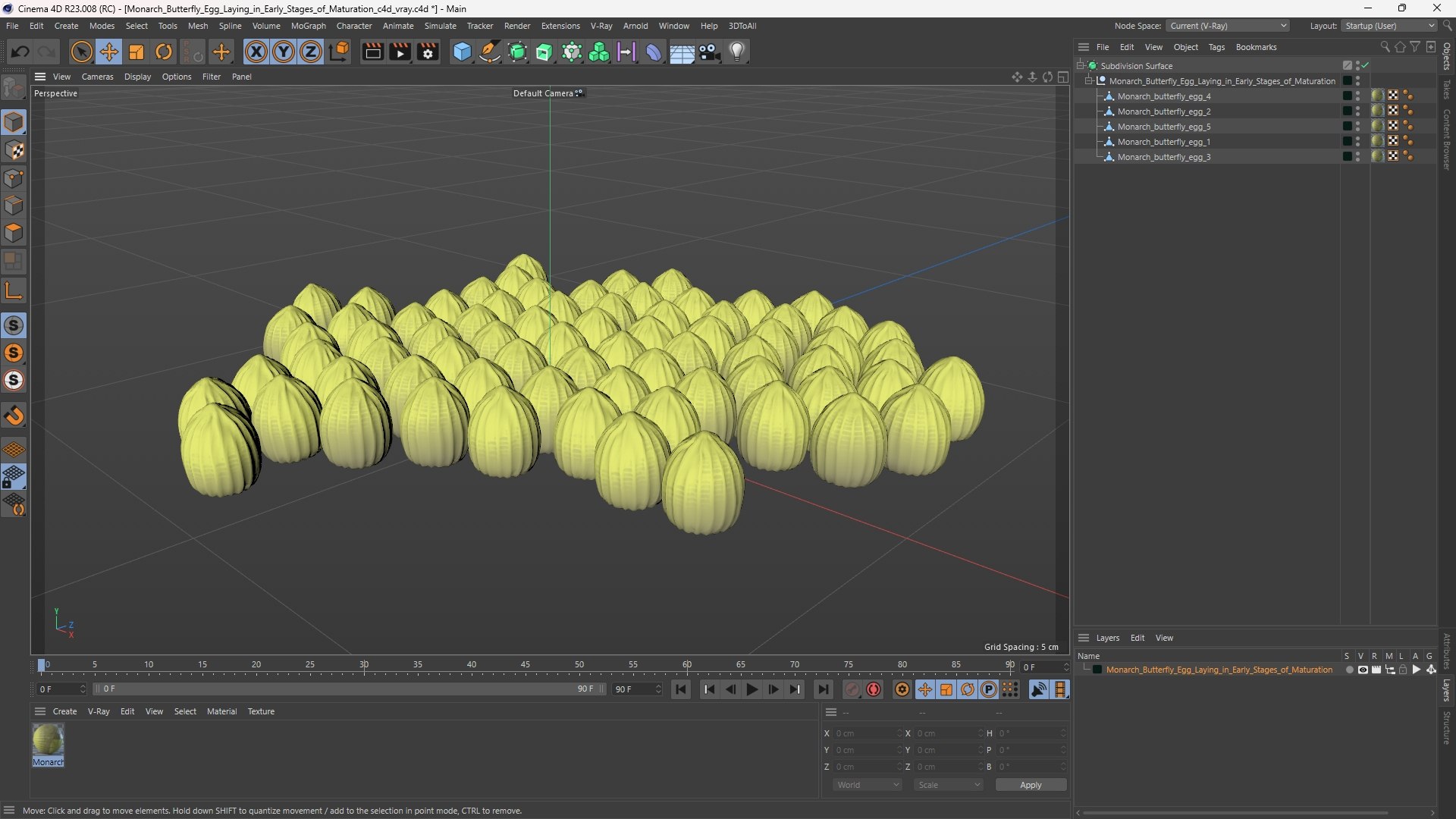 3D Monarch Butterfly Egg Laying in Early Stages of Maturation model https://p.turbosquid.com/ts-thumb/oL/zWAaqD/gI/monarch_butterfly_egg_laying_in_early_stages_of_maturation_1003/jpg/1757023771/1920x1080/fit_q87/aac0bc852d4693d53d37b68557ba11fbdc194134/monarch_butterfly_egg_laying_in_early_stages_of_maturation_1003.jpg