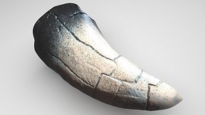 3D Dragon Tooth model