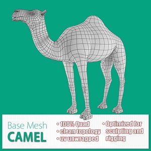 base mesh camel max