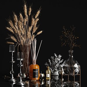 Decorative set with dry plants