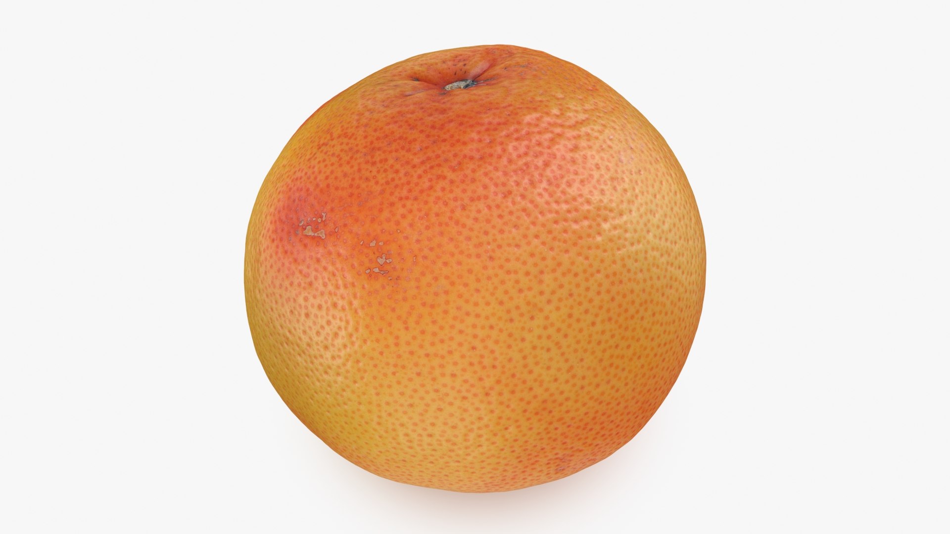 Grapefruit model https://p.turbosquid.com/ts-thumb/oM/Py05hO/23/grapefruit_b0008/jpg/1712996621/1920x1080/fit_q87/caddb693e8814b942cba98b712a4b571d3cd6ad0/grapefruit_b0008.jpg