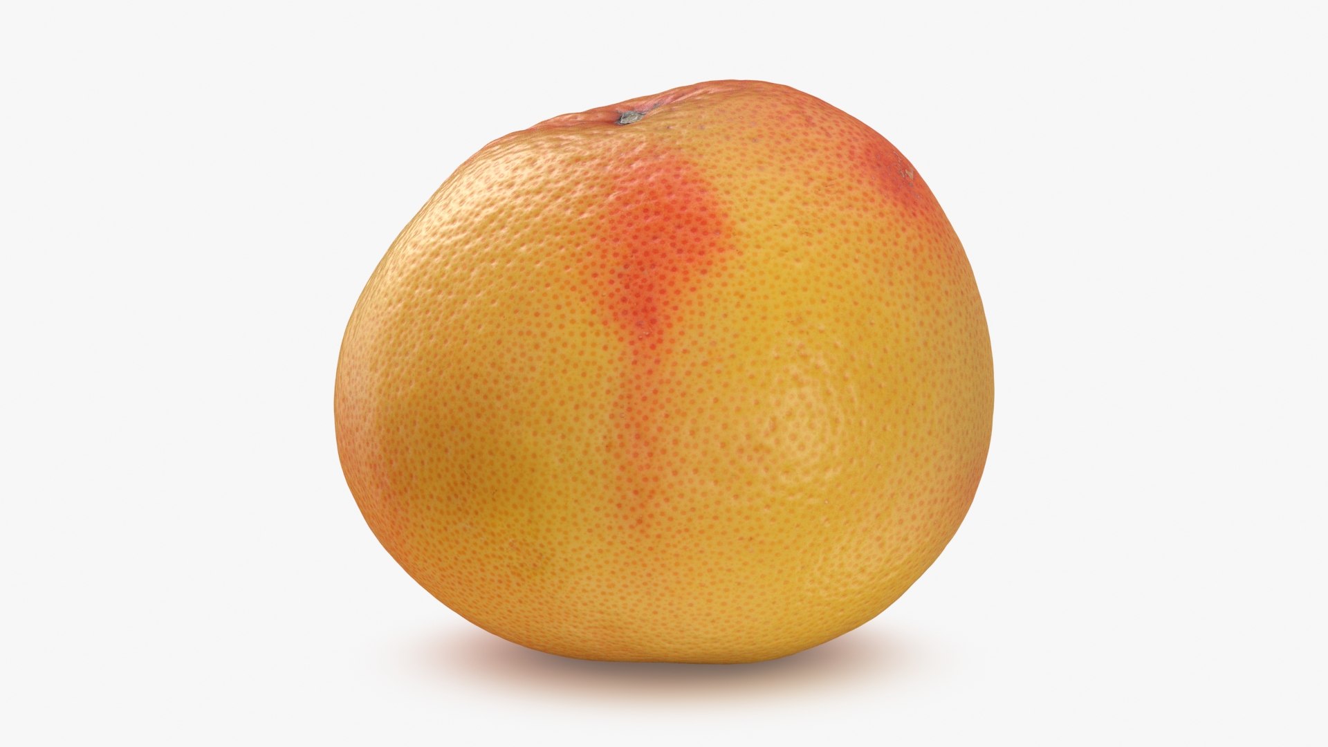 Grapefruit model https://p.turbosquid.com/ts-thumb/oM/Py05hO/OV/grapefruit_b0006/jpg/1712996623/1920x1080/fit_q87/5e81de094cabebf3ca105c0abcfde53a82ef92da/grapefruit_b0006.jpg