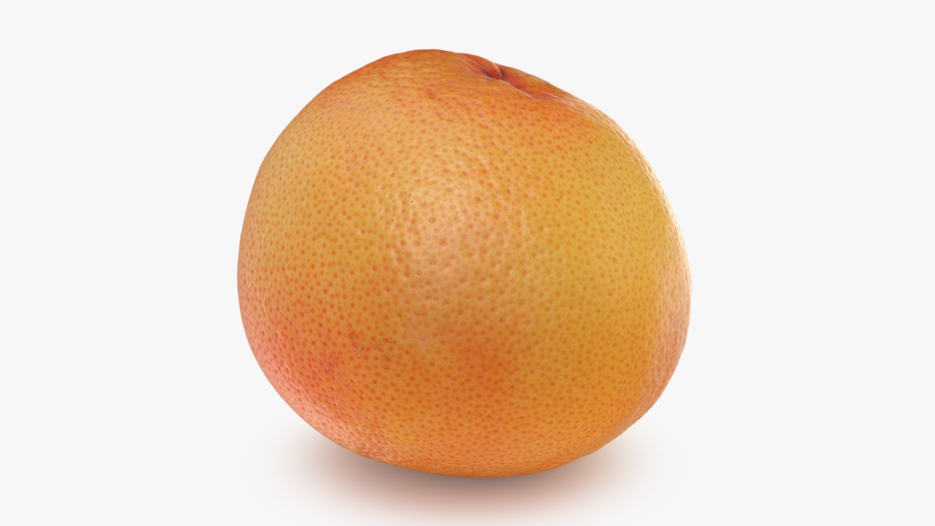 Grapefruit model https://p.turbosquid.com/ts-thumb/oM/Py05hO/PA/grapefruit_b0010/jpg/1712996623/1920x1080/fit_q87/28a9bb48fa8e4dcf186aac5a4958832ce80795cb/grapefruit_b0010.jpg