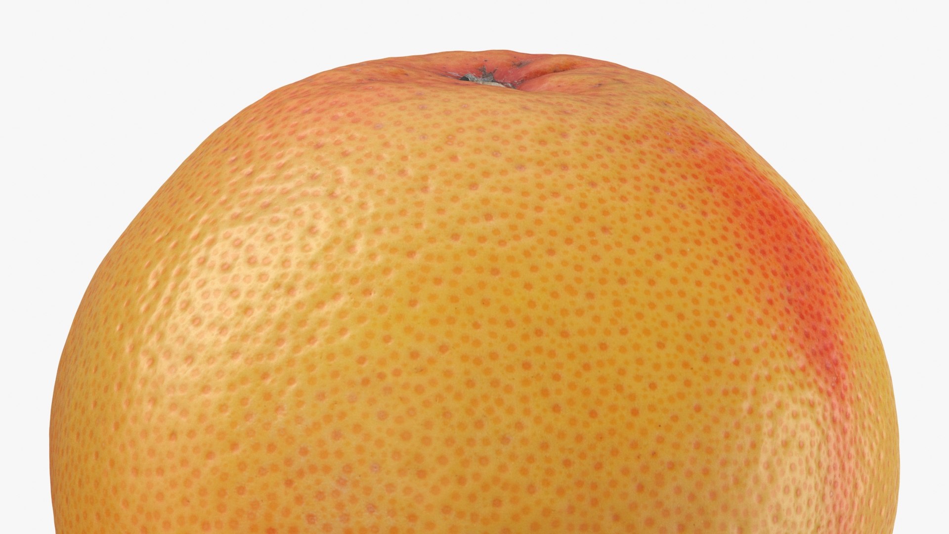 Grapefruit model https://p.turbosquid.com/ts-thumb/oM/Py05hO/PG/grapefruit_b0016/jpg/1712996626/1920x1080/fit_q87/505e62a117dbd7180c9442bcbe79ebba81783ad4/grapefruit_b0016.jpg