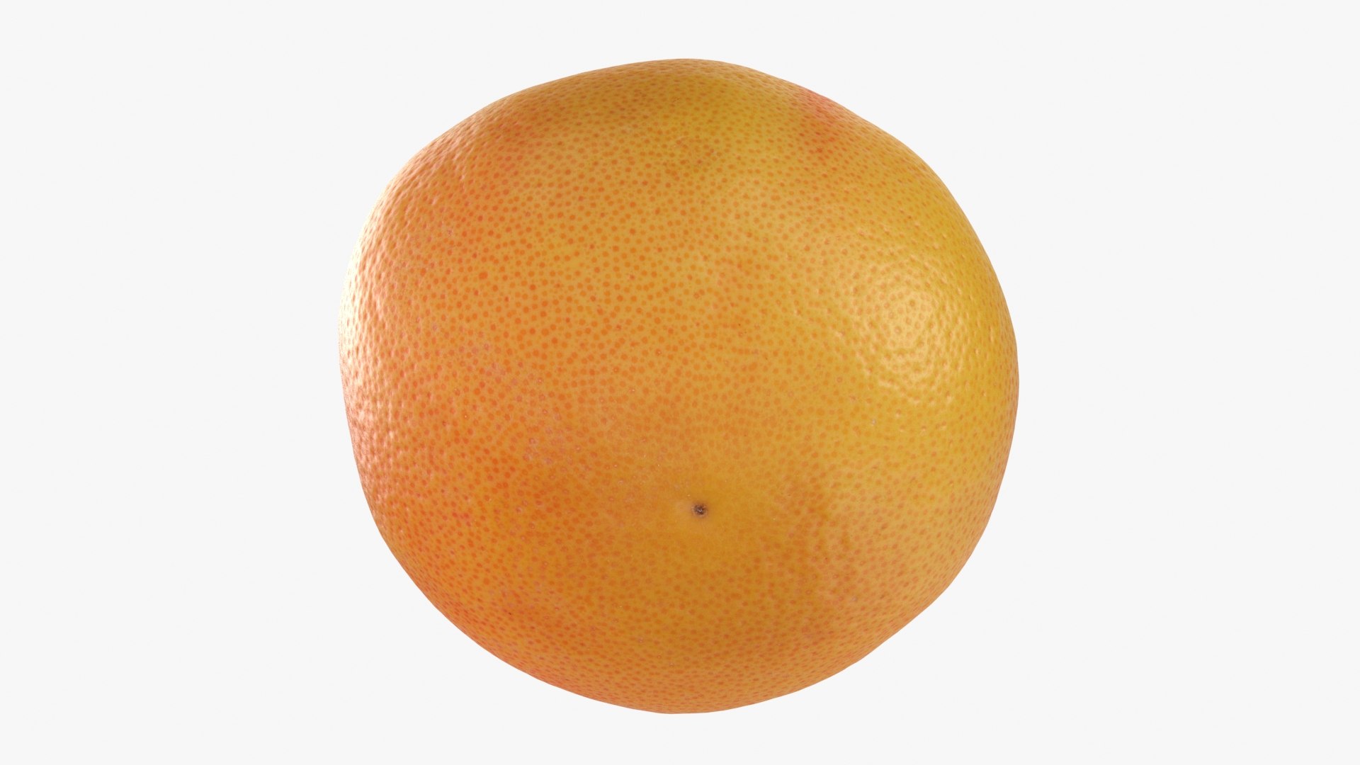 Grapefruit model https://p.turbosquid.com/ts-thumb/oM/Py05hO/S6/grapefruit_b0022/jpg/1712996630/1920x1080/fit_q87/35341243f757687cad9fa127c1b9a2ac95450603/grapefruit_b0022.jpg