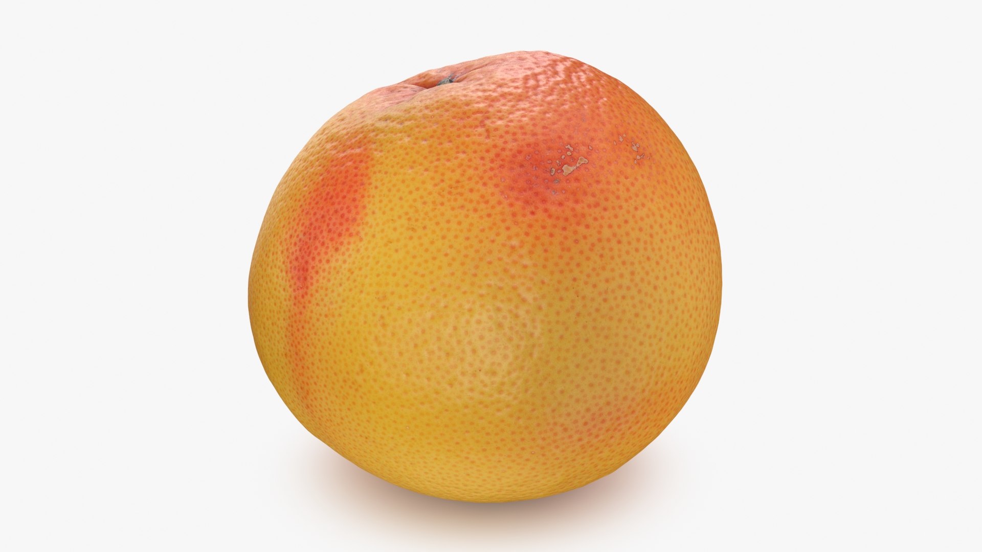 Grapefruit model https://p.turbosquid.com/ts-thumb/oM/Py05hO/V2/grapefruit_b0004/jpg/1712996619/1920x1080/fit_q87/8ffdcd44d4065ed838f0c72dd83d11bebe35531a/grapefruit_b0004.jpg