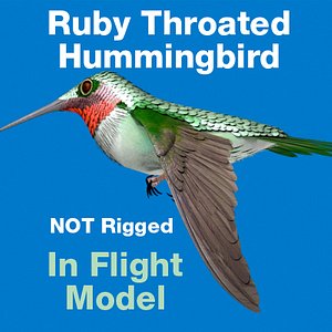 ruby throated hummingbird 3d c4d