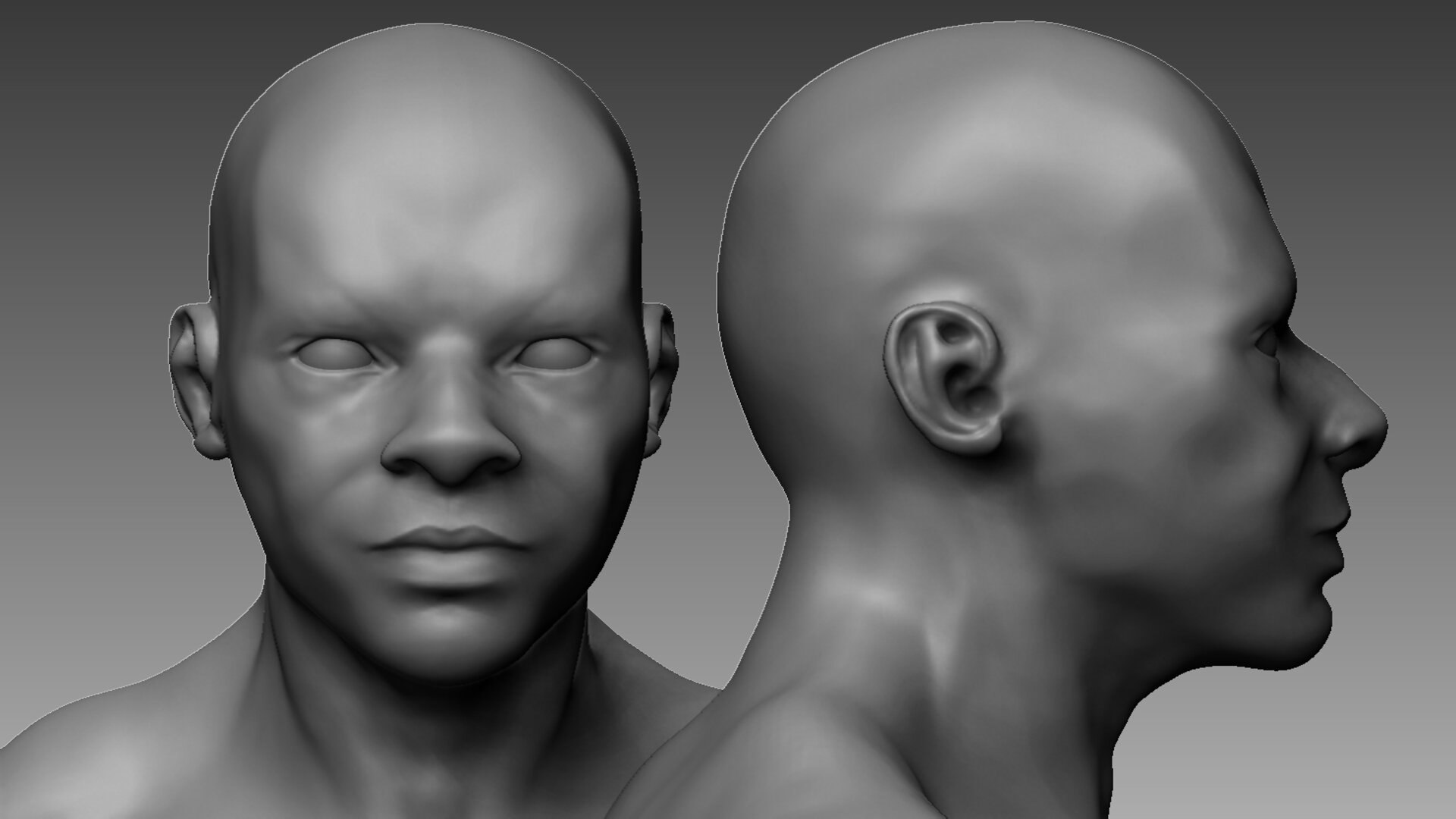 HumanCharacterHighPoly 3D model - TurboSquid 1935706