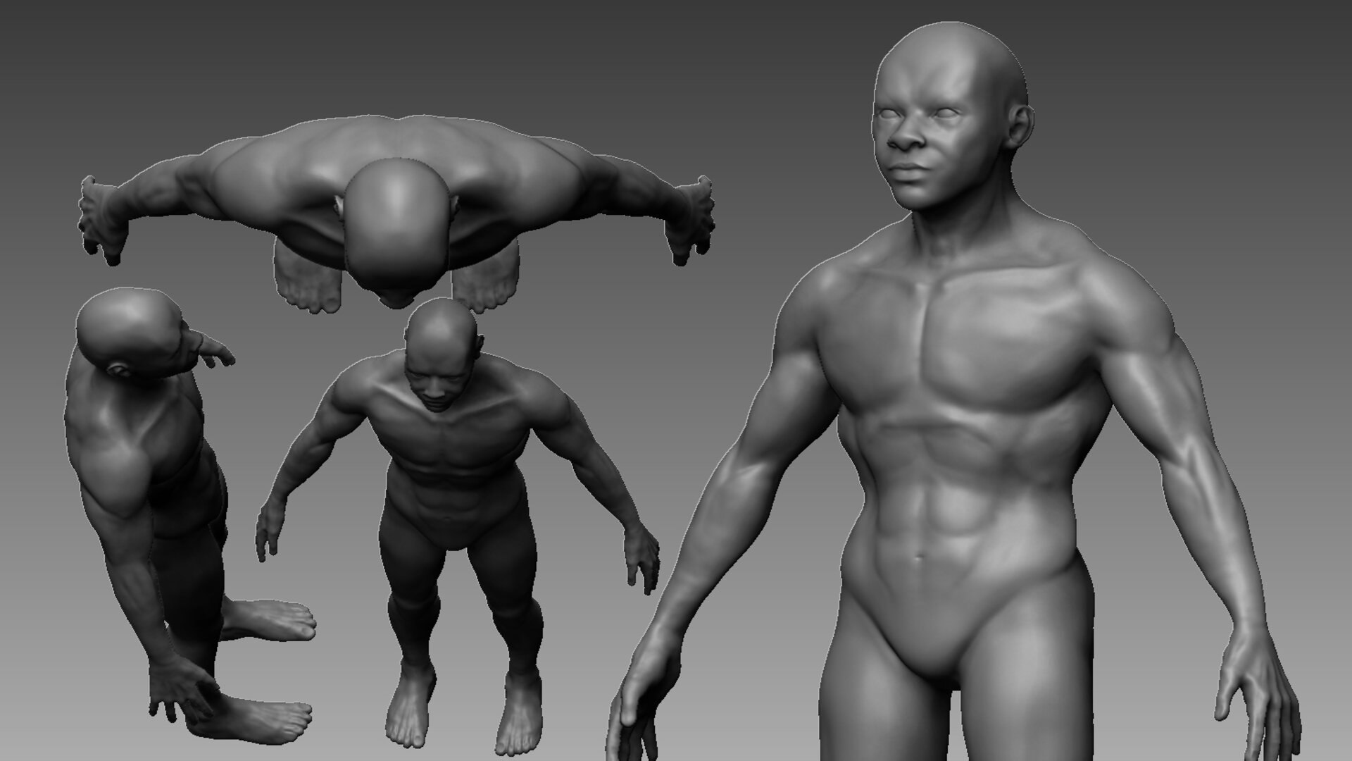 HumanCharacterHighPoly 3D model - TurboSquid 1935706