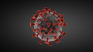coronavirus sars corona virus 3D model