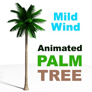 3D Palm Tree Animated