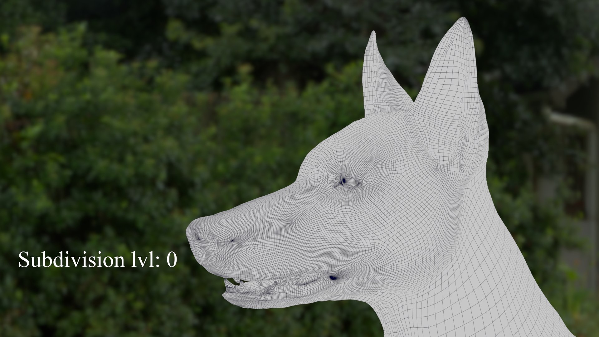 3D Husky Model - TurboSquid 2312119