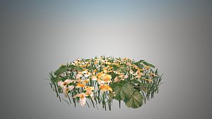 Flowers for the Environment