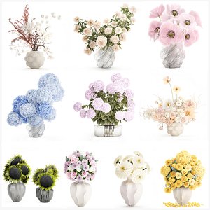 Collection 11 small bouquets poppy  peony hydrangea lilac set