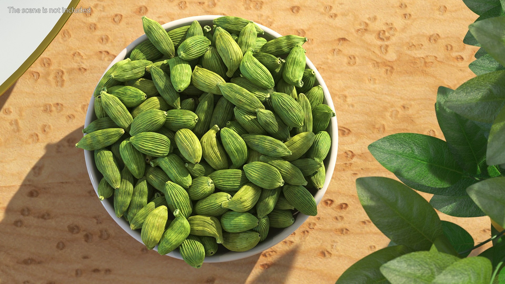 Dried Green Cardamom Fruit Plate 3D model https://p.turbosquid.com/ts-thumb/oM/rmSXvy/8u/driedgreencardamomfruitplate3dsmodel004/jpg/1656117584/1920x1080/fit_q87/e360395452c3feea0b7e81a6b33e99d9aea0ff68/driedgreencardamomfruitplate3dsmodel004.jpg