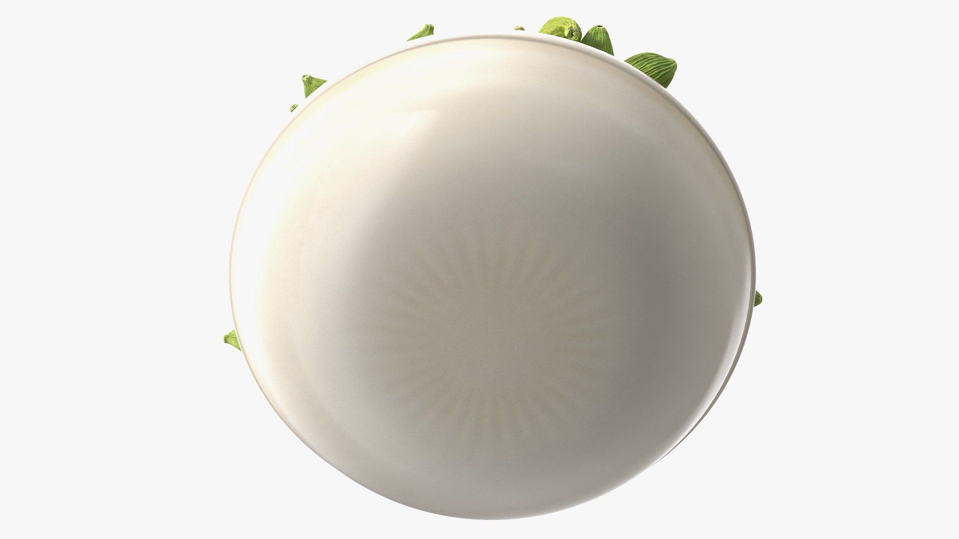 Dried Green Cardamom Fruit Plate 3D model https://p.turbosquid.com/ts-thumb/oM/rmSXvy/ZU/driedgreencardamomfruitplate3dsmodel011/jpg/1656117608/1920x1080/fit_q87/7af67b26192661ed8f1d26cdf523fcf98cbb959f/driedgreencardamomfruitplate3dsmodel011.jpg