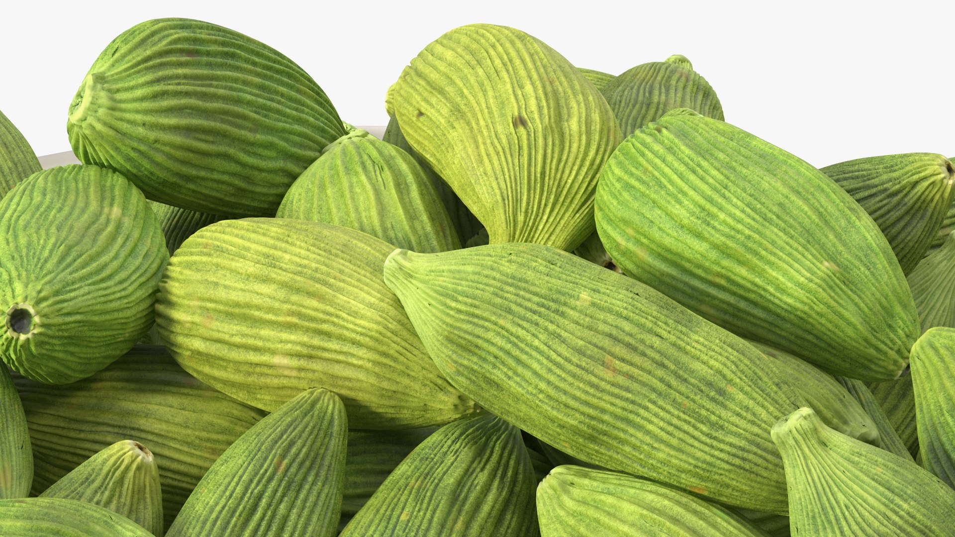 Dried Green Cardamom Fruit Plate 3D model https://p.turbosquid.com/ts-thumb/oM/rmSXvy/rQ/driedgreencardamomfruitplate3dsmodel013/jpg/1656117614/1920x1080/fit_q87/eb7726ac9db13890cf857a167ee2c9abecfce432/driedgreencardamomfruitplate3dsmodel013.jpg