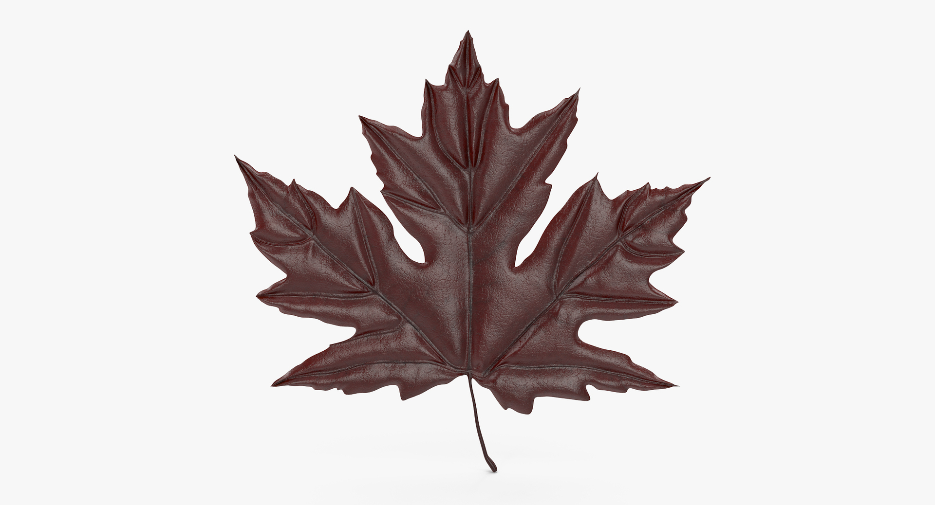 Red Maple Leaf 3d Max