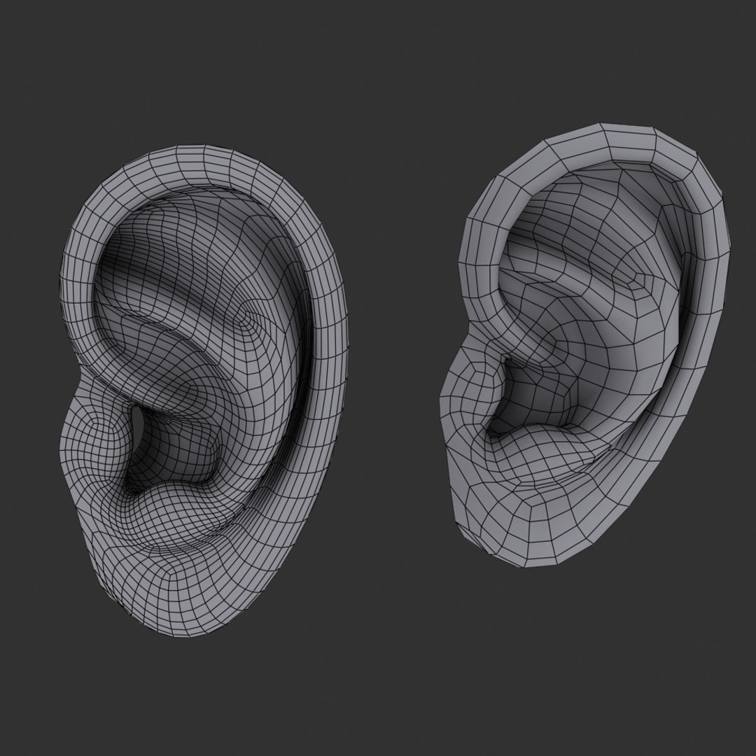 Max Realistic Human Ear