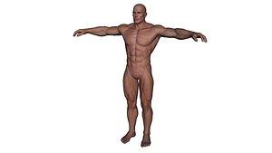 Realistic Alpha Male - Rigged