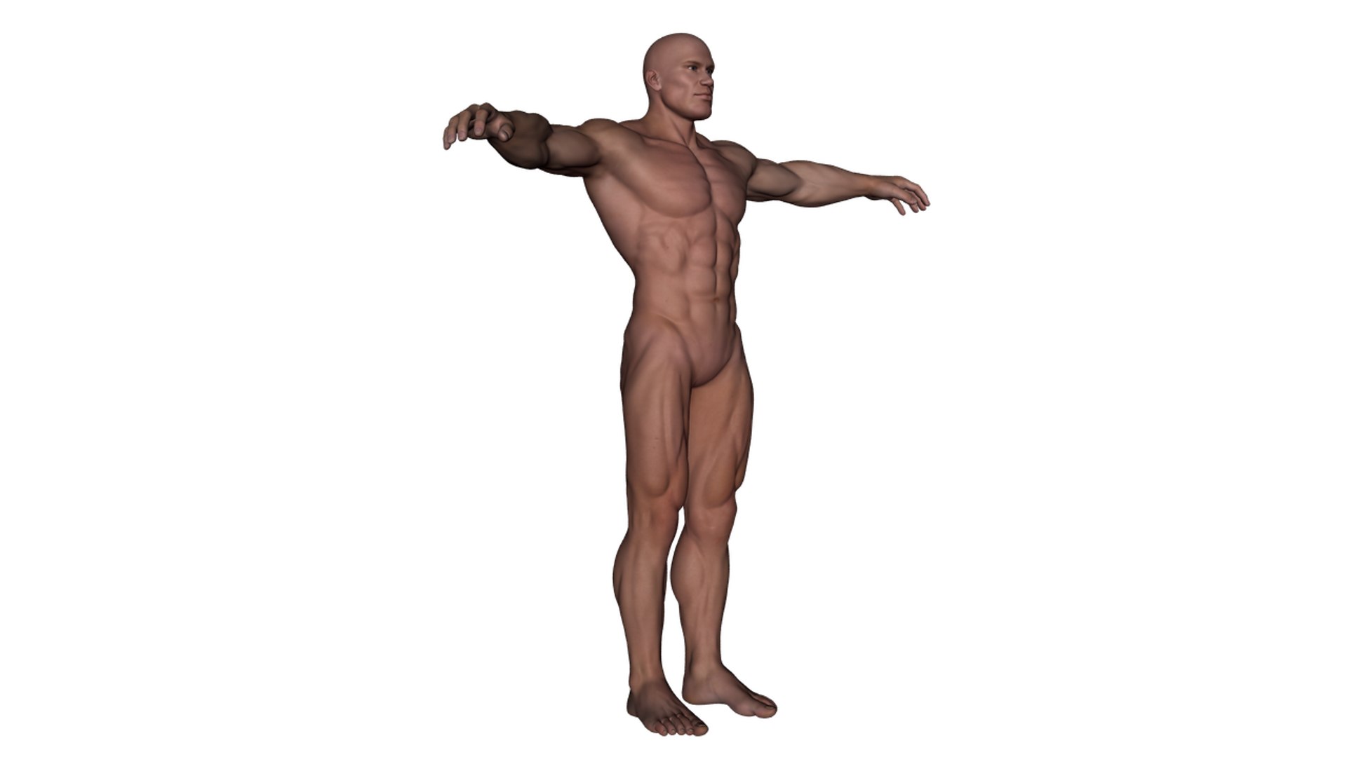 3d realistic rigged male character model https://p.turbosquid.com/ts-thumb/oM/yclOzM/85CU6Ajr/b9/png/1458458347/1920x1080/fit_q87/ad933d970ae22d1c23615156e90d9ccf0f6259af/b9.jpg
