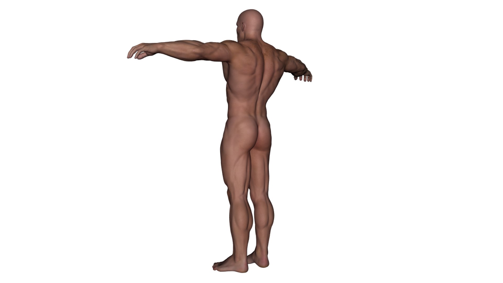 3d realistic rigged male character model https://p.turbosquid.com/ts-thumb/oM/yclOzM/A7xEHsdu/b5/png/1458458347/1920x1080/fit_q87/a062c81d27e8319bce691732fb78546282b8b1b1/b5.jpg