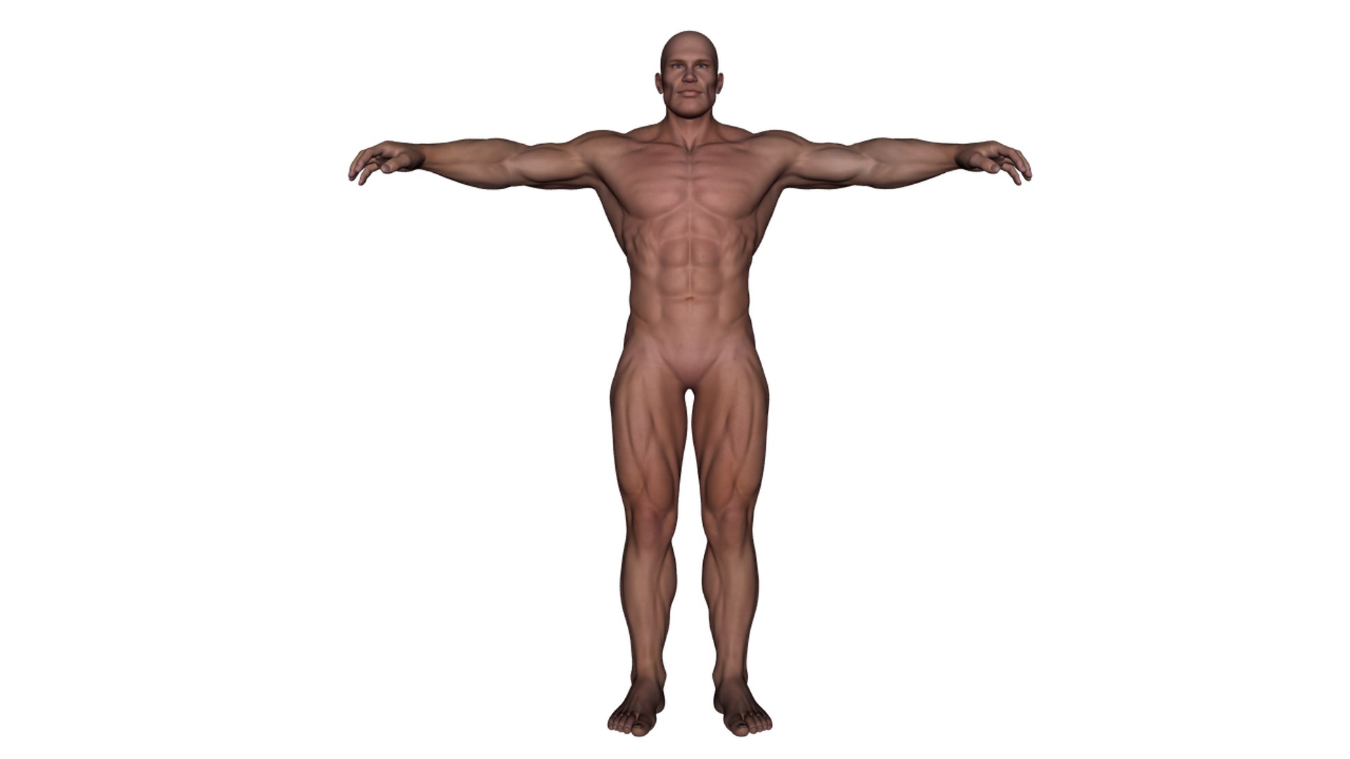 3d realistic rigged male character model https://p.turbosquid.com/ts-thumb/oM/yclOzM/eIICRwq4/b2/png/1458458347/1920x1080/fit_q87/0d1d36d5d17e1838164ccfb40e20535e7f8ec2a9/b2.jpg