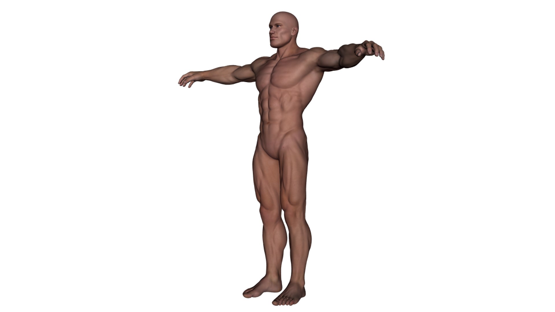3d realistic rigged male character model https://p.turbosquid.com/ts-thumb/oM/yclOzM/hyFcwewS/b3/png/1458458347/1920x1080/fit_q87/9d5bb523743a239960abba4dd335df44c622e62f/b3.jpg