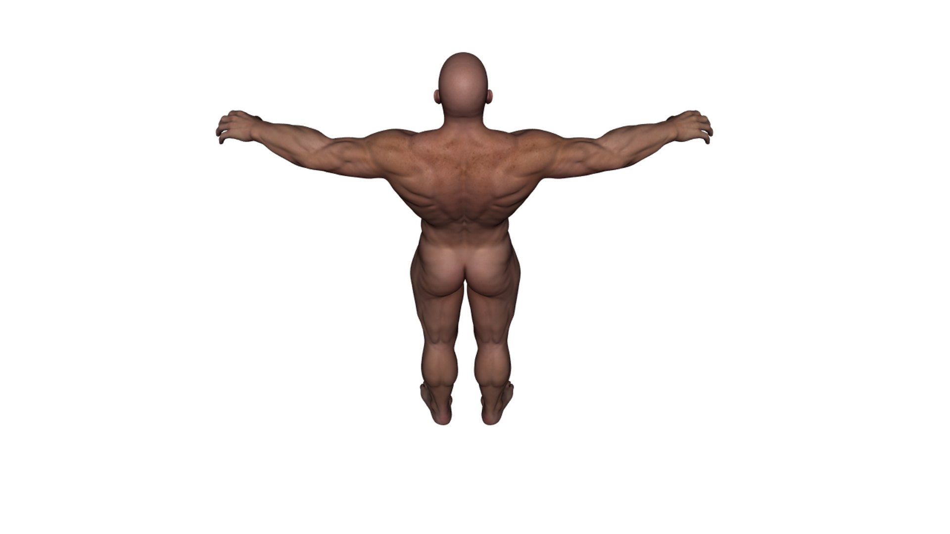 3d realistic rigged male character model https://p.turbosquid.com/ts-thumb/oM/yclOzM/kFbnDvqY/b15/png/1458458347/1920x1080/fit_q87/4cddd06e8d73e10d4992f55fb58eca7850f05a01/b15.jpg