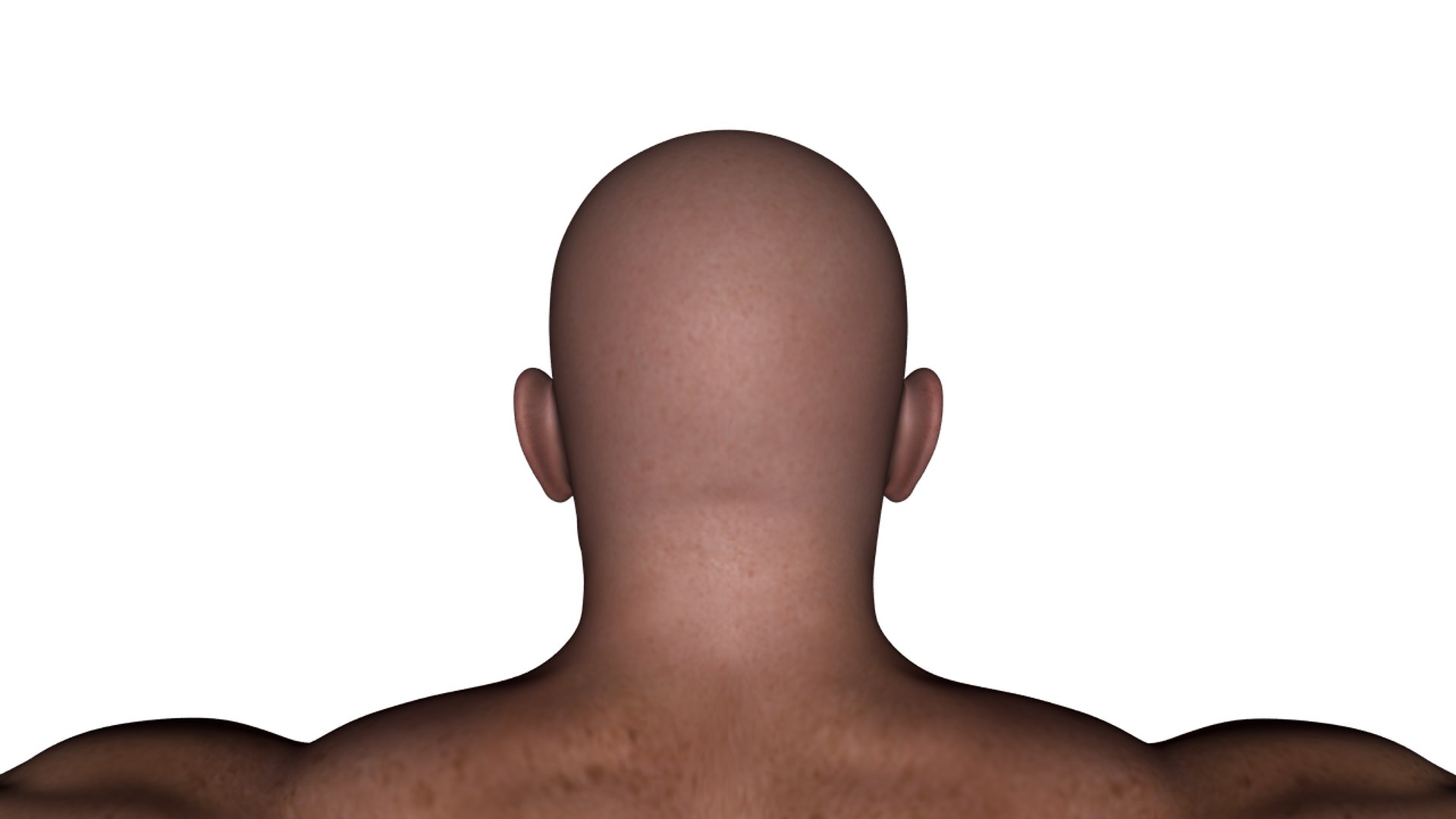 3d realistic rigged male character model https://p.turbosquid.com/ts-thumb/oM/yclOzM/msMNp6I6/b41/png/1458458348/1920x1080/fit_q87/c7704157b290c92ffe26b08865c98c383366270b/b41.jpg