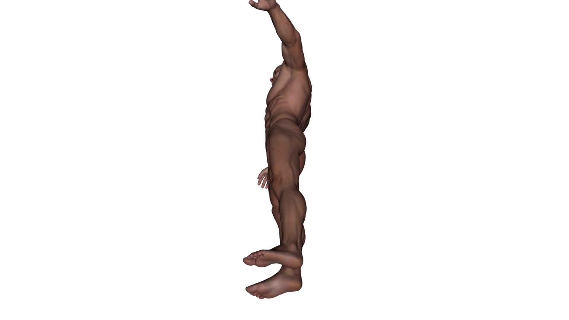 3d realistic rigged male character model https://p.turbosquid.com/ts-thumb/oM/yclOzM/vw8b7F4N/b23/png/1458458347/1920x1080/fit_q87/ff2c128206ffcc00e8bf7f0711847c29a88449af/b23.jpg