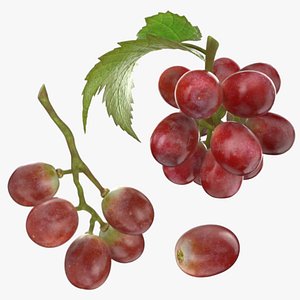 Fresh Red Grape Collection 3D