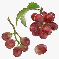 Fresh Red Grape Collection
