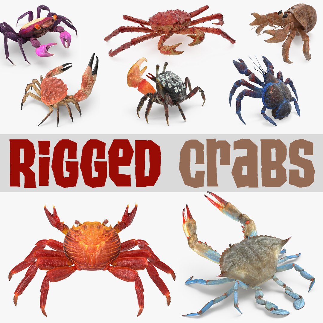 Rigged Crabs 3D Models Collection 3 3D model preview