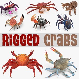 3D rigged crabs 3