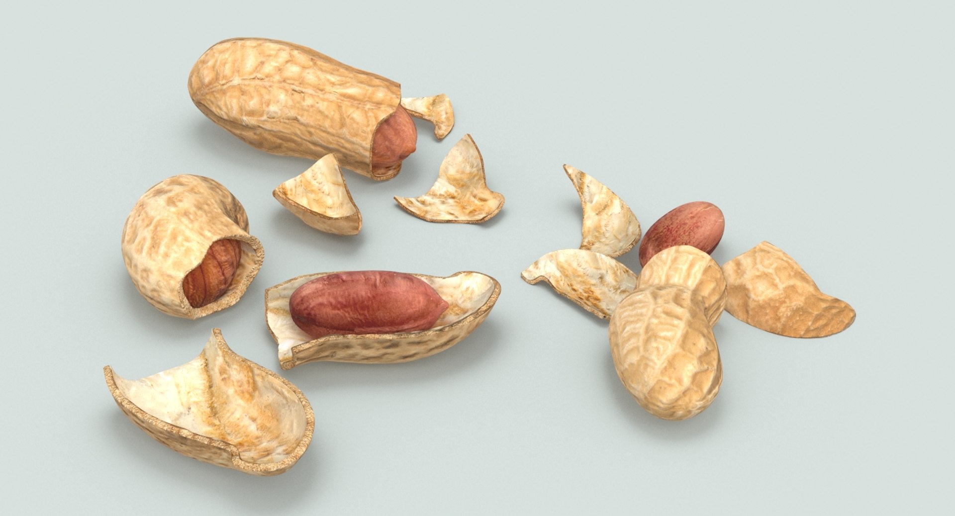 3D loose model https://p.turbosquid.com/ts-thumb/oN/6evROS/JFOFaMPj/peanuts_cracked_productshot_0005/jpg/1502815215/1920x1080/fit_q87/2c109cd9185fb6f06fa2709d7951ed22f122467c/peanuts_cracked_productshot_0005.jpg