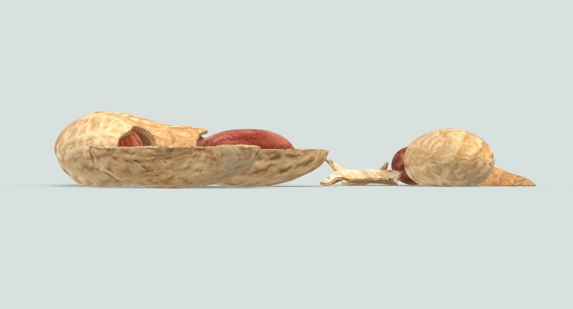 3D loose model https://p.turbosquid.com/ts-thumb/oN/6evROS/RiNO4PYa/peanuts_cracked_productshot_0004/jpg/1502815213/1920x1080/fit_q87/2d4d1f6cc4d95c91202237a68b613ad54fda1be1/peanuts_cracked_productshot_0004.jpg