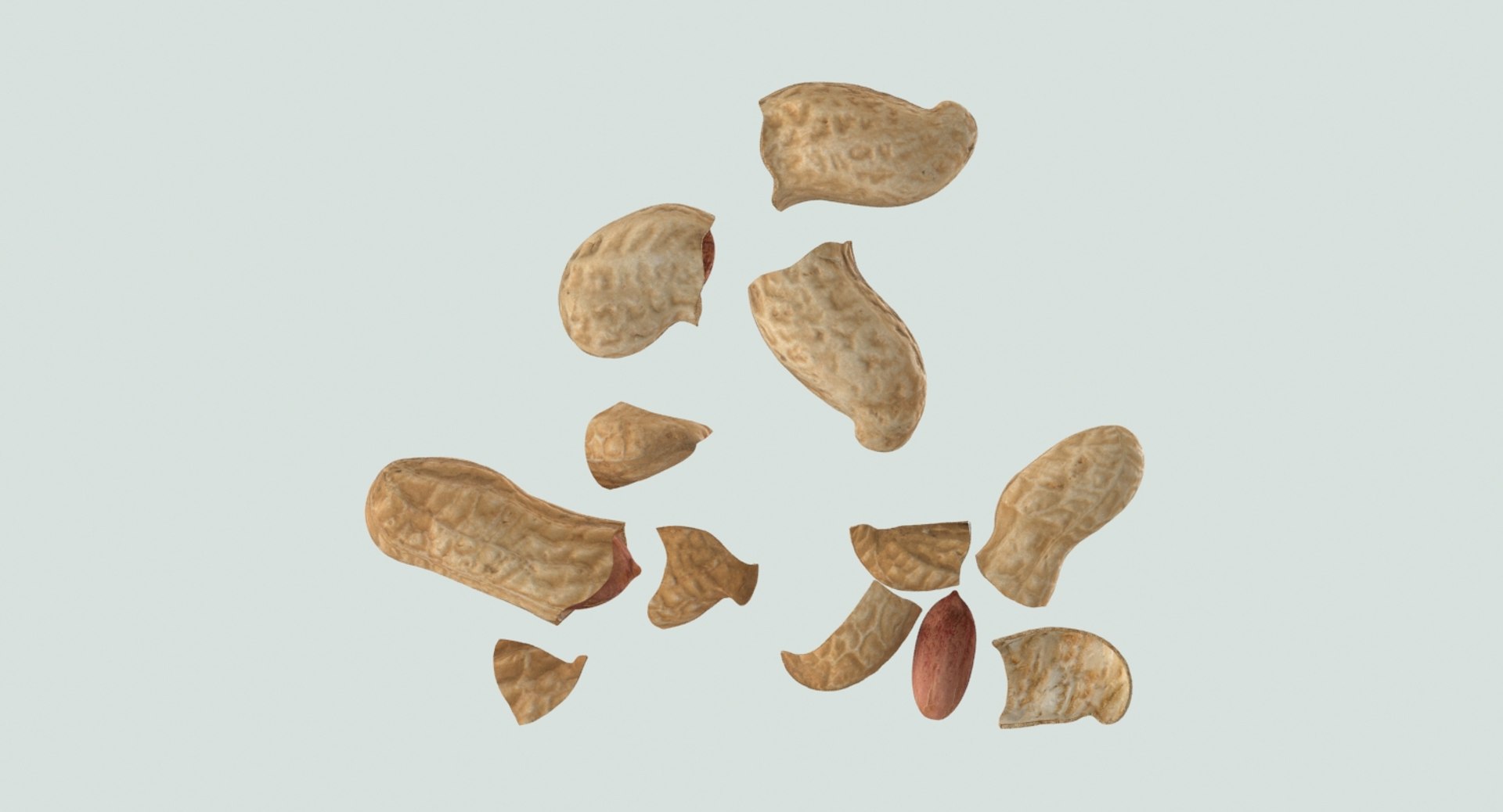 3D loose model https://p.turbosquid.com/ts-thumb/oN/6evROS/Vx6Smrux/peanuts_cracked_productshot_0008/jpg/1502815221/1920x1080/fit_q87/b71955d87ffbe3419ebb63157b03d43e1b20e3ba/peanuts_cracked_productshot_0008.jpg