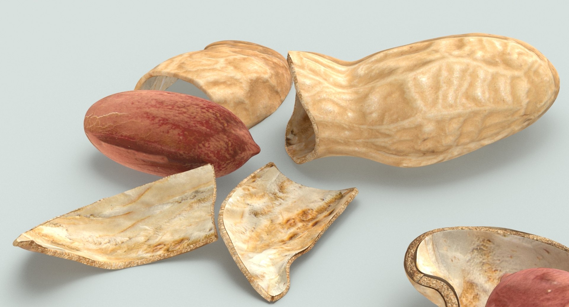 3D loose model https://p.turbosquid.com/ts-thumb/oN/6evROS/ZUzMkOyu/peanuts_cracked_productshot_0007/jpg/1502815219/1920x1080/fit_q87/19575d87e885b5b09b335c2bdf89218e68f23e8f/peanuts_cracked_productshot_0007.jpg