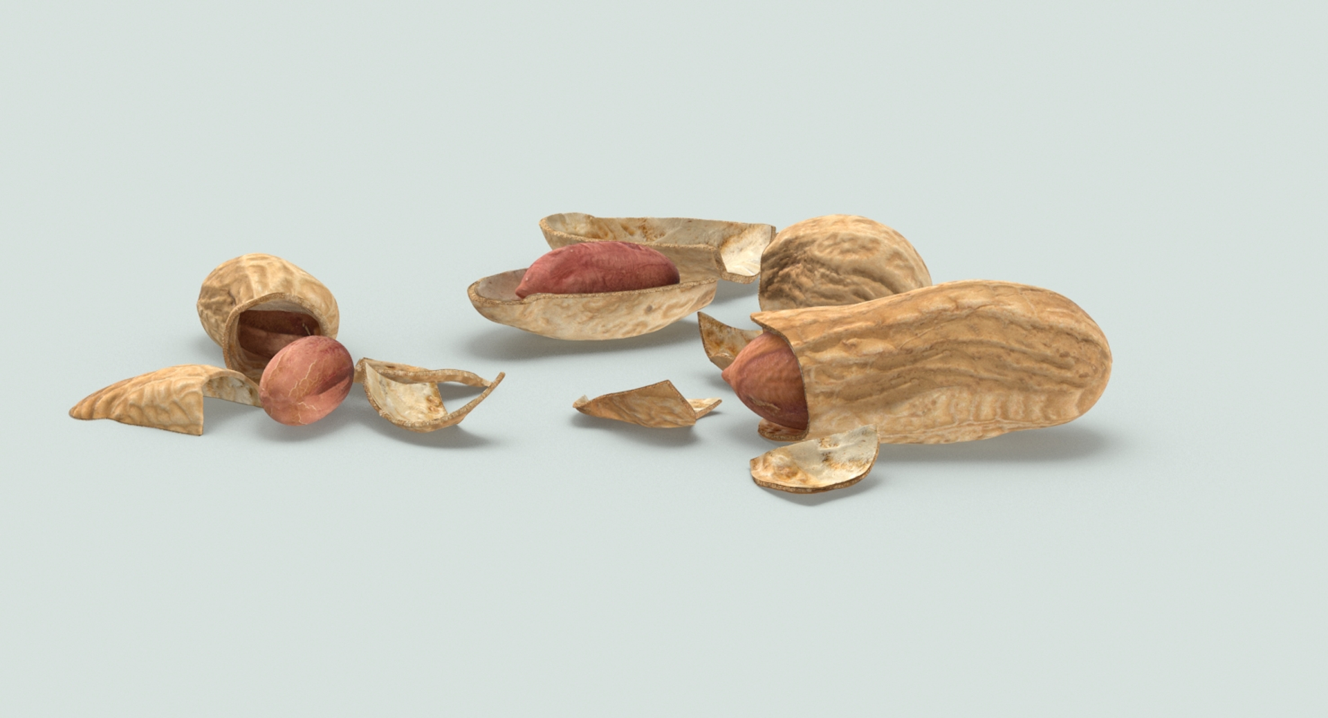 3D loose model https://p.turbosquid.com/ts-thumb/oN/6evROS/sRzgFuDr/peanuts_cracked_360/jpg/1502815223/1920x1080/turn_fit_q99/236cfb5b17320836764741f9a37e6592edeec154/peanuts_cracked_360-1.jpg