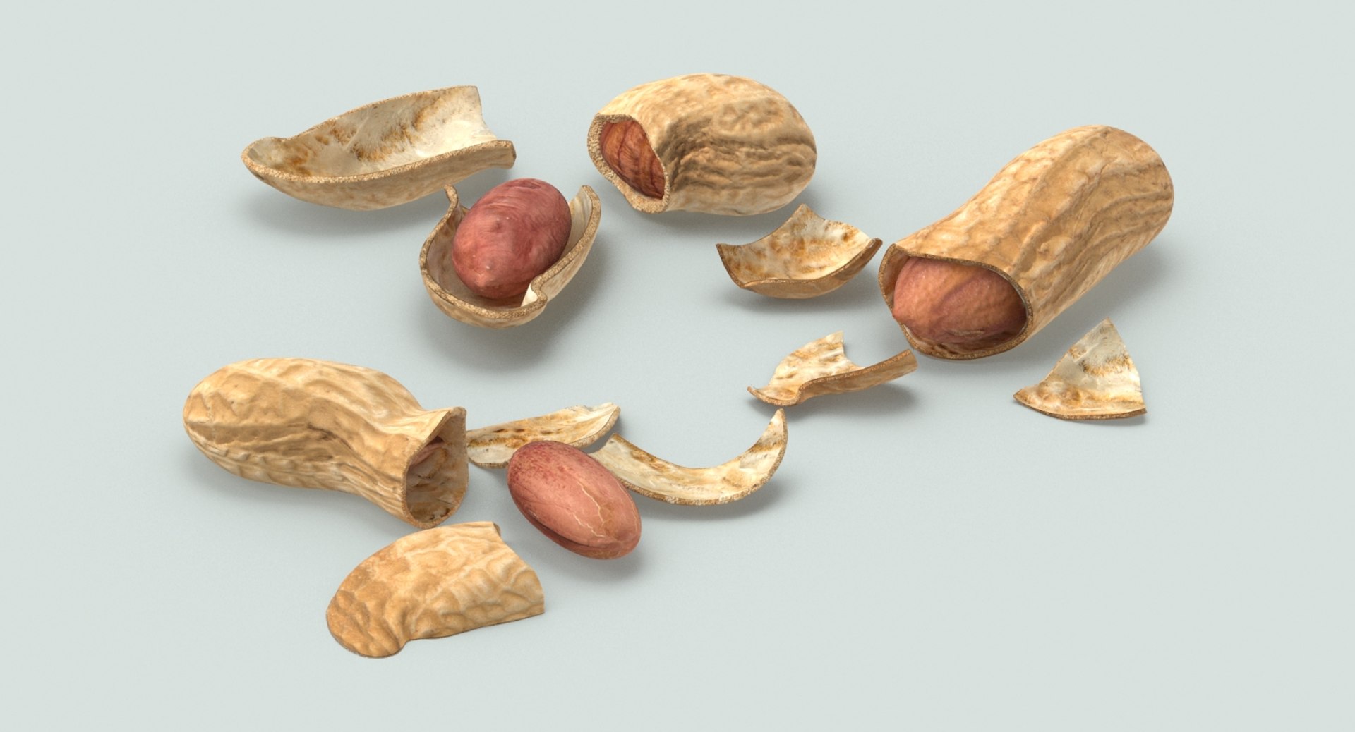 3D loose model https://p.turbosquid.com/ts-thumb/oN/6evROS/wrE2zrcl/peanuts_cracked_productshot_0001/jpg/1502815208/1920x1080/fit_q87/54ccbd3b697c36b2f8bbe5e55c90856d4f5a28a3/peanuts_cracked_productshot_0001.jpg