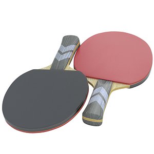 Ping Pong Paddle