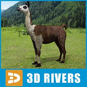 3dsmax llama animals peru