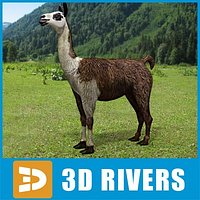 Llama by 3DRivers