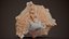 Orange Murex Murex Pecten Shell 62