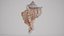 Orange Murex Murex Pecten Shell 62