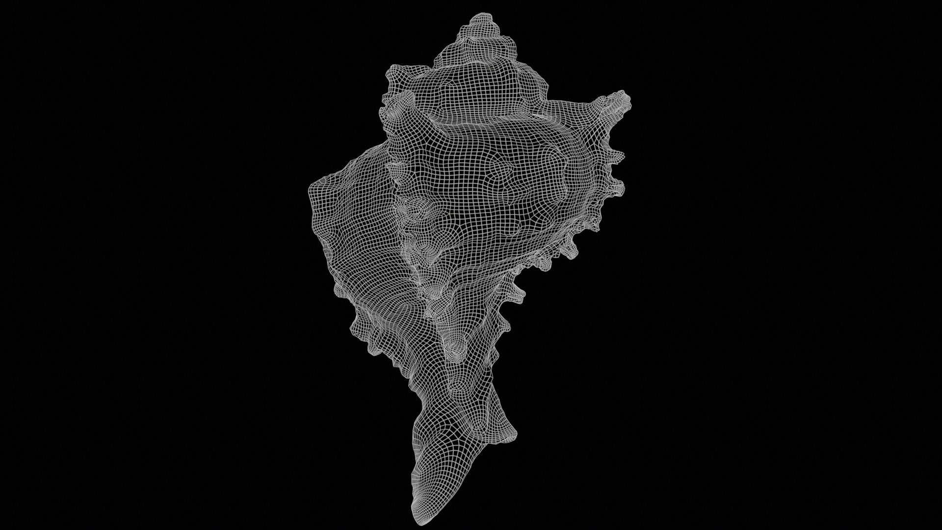 3D Orange Murex Murex Pecten Shell 62 model https://p.turbosquid.com/ts-thumb/oN/Sy7kY9/u7/orange_murex_murex_pecten_shell_62_wireframe/jpg/1766562689/1920x1080/fit_q87/d15653b55067a926756814b79ed0509e907bb4ac/orange_murex_murex_pecten_shell_62_wireframe.jpg