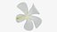 Plumeria Alba Flower