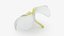 Plumeria Alba Flower