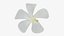 Plumeria Alba Flower